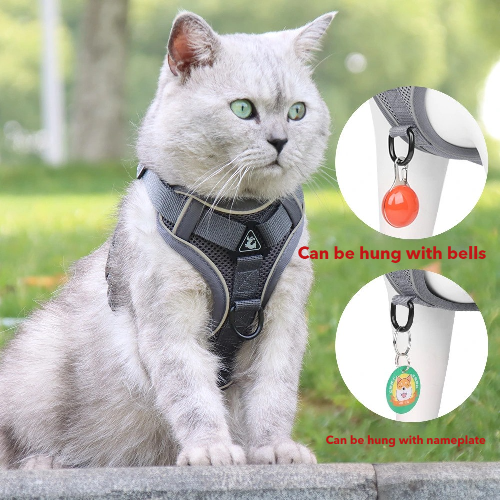 Cat Harness and Leash set