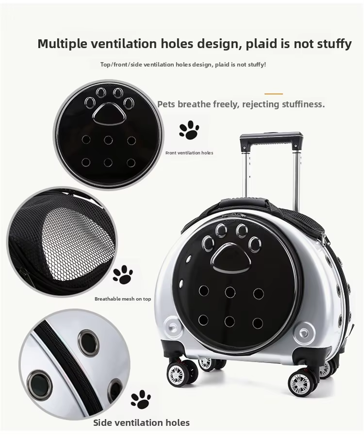 Pet Travel Carrier
