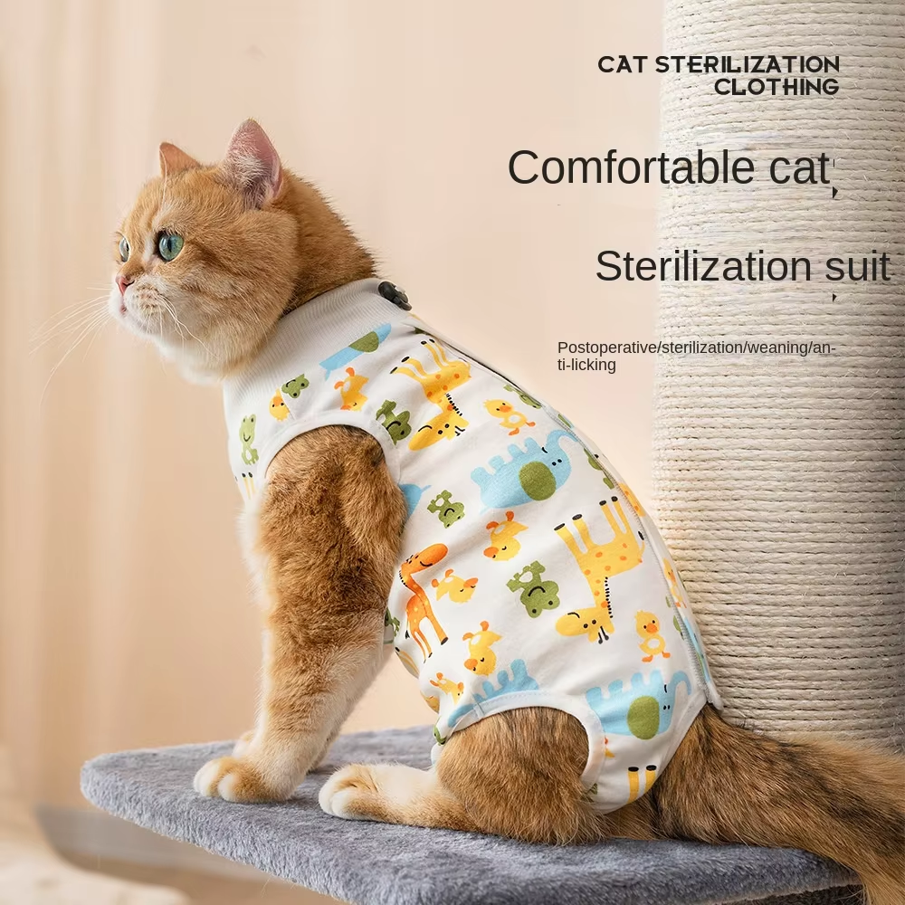 Cat Recovery Suit for Spay Abdominal Wounds