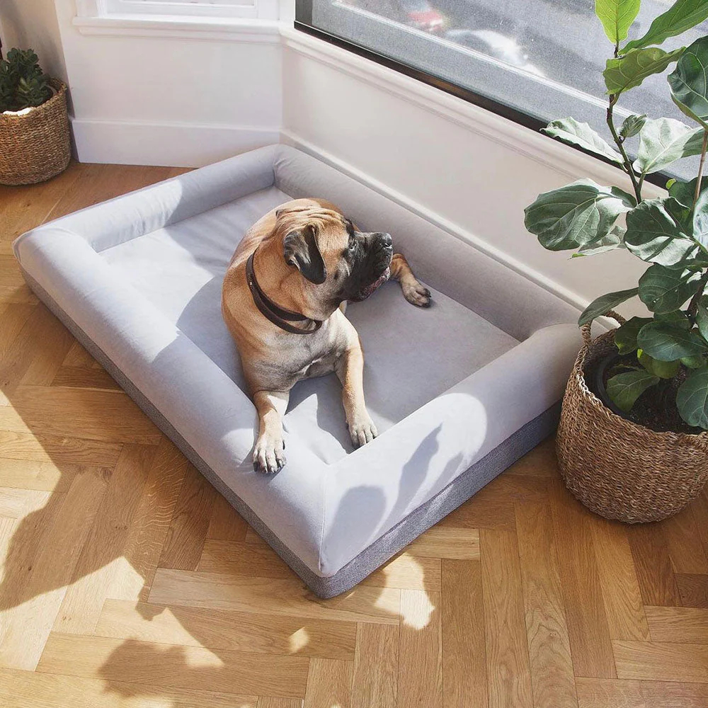 Orthopedic Foam Dog Beds wholesale