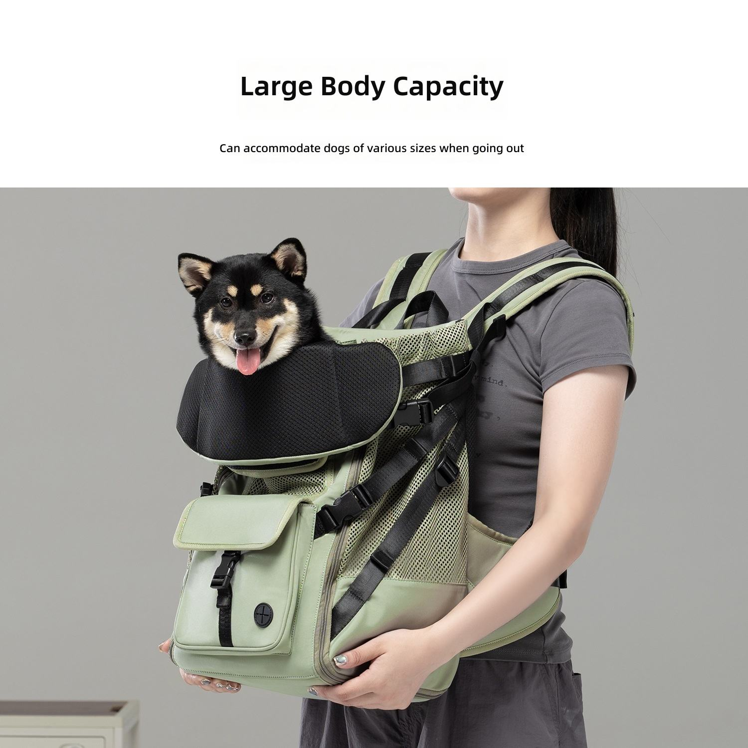 <strong>Large Capacity Pet Backpack Carrier</strong>
