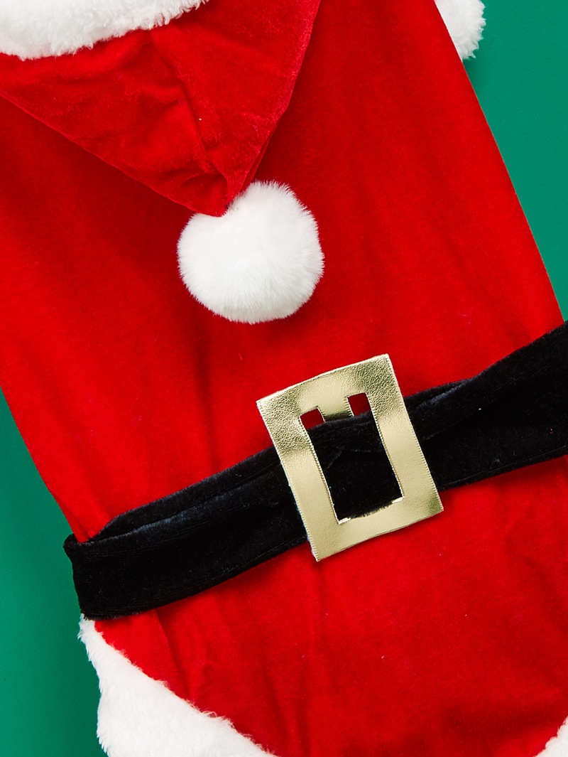christmas pet clothes