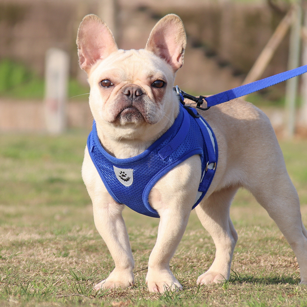 Pets Reflective Breathable Harness and Leash Set