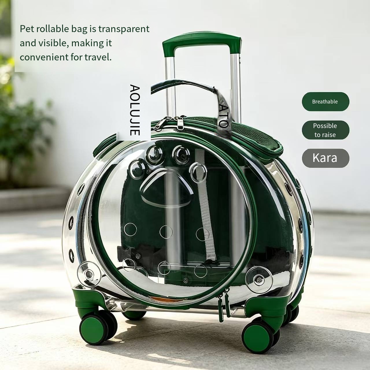 Pet Travel Carrier