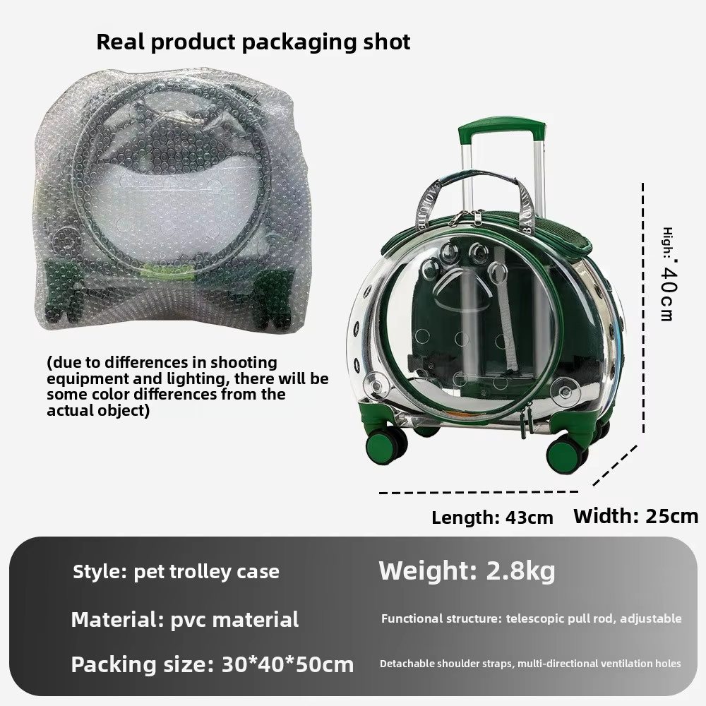 Pet Travel Carrier
