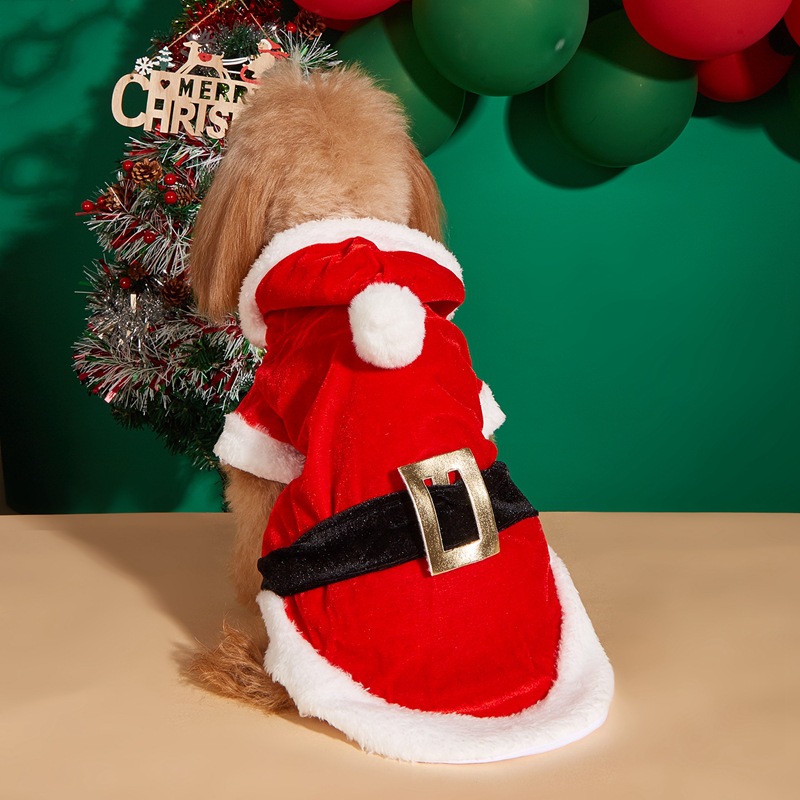 christmas pet clothes