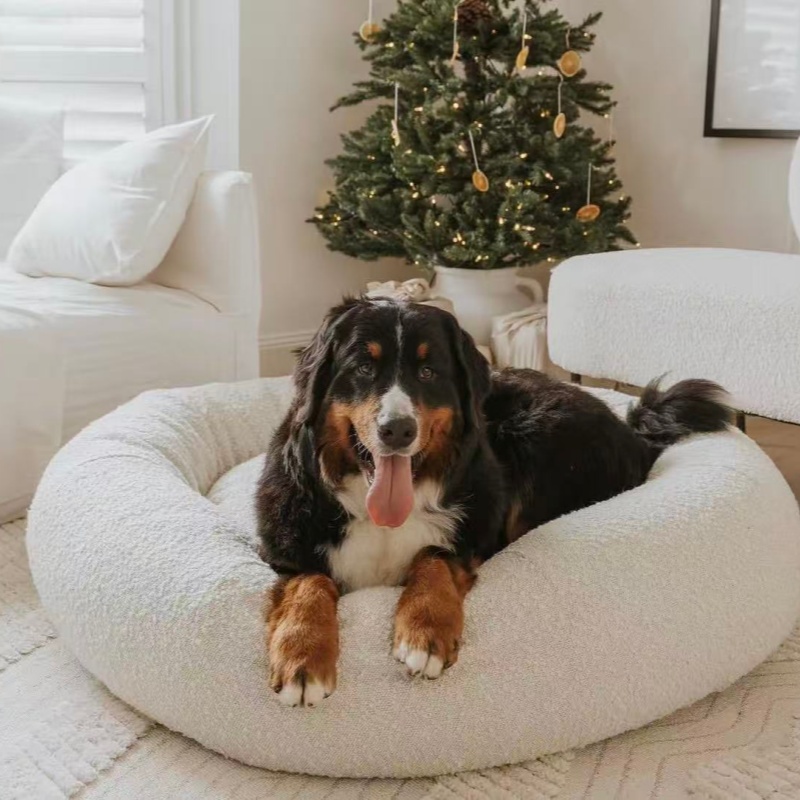 Boucle Fabric Orthopedic Dog Bed