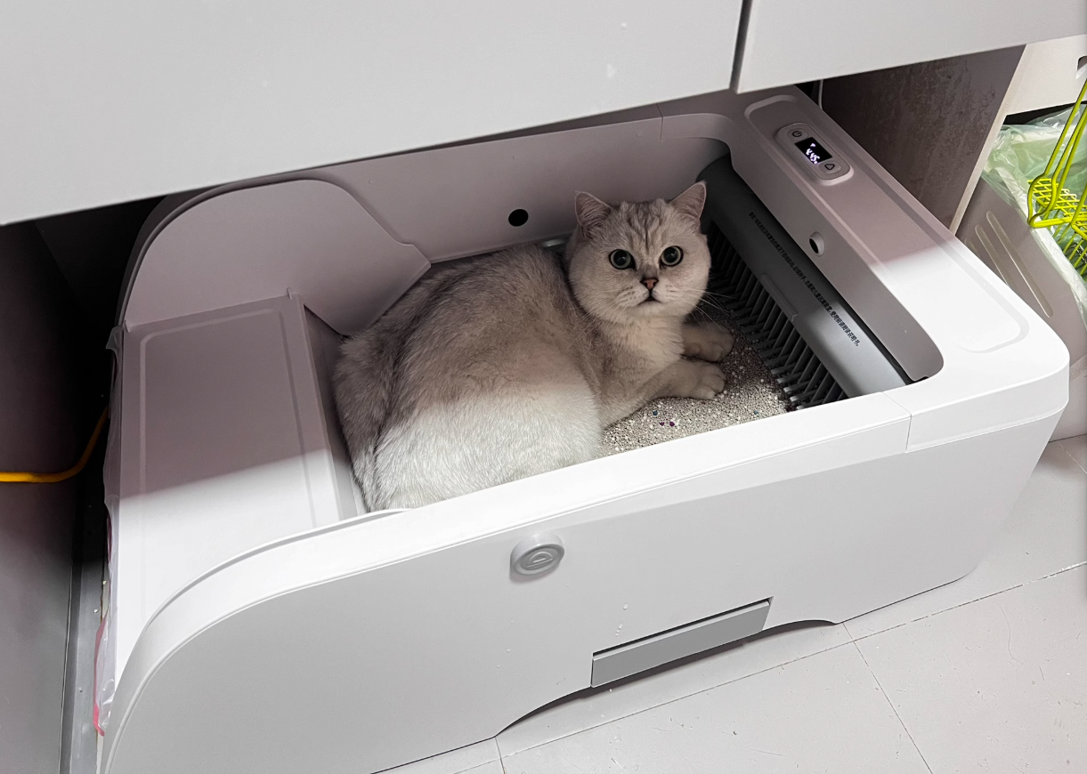 Wholesale Smart Cat Litter Box