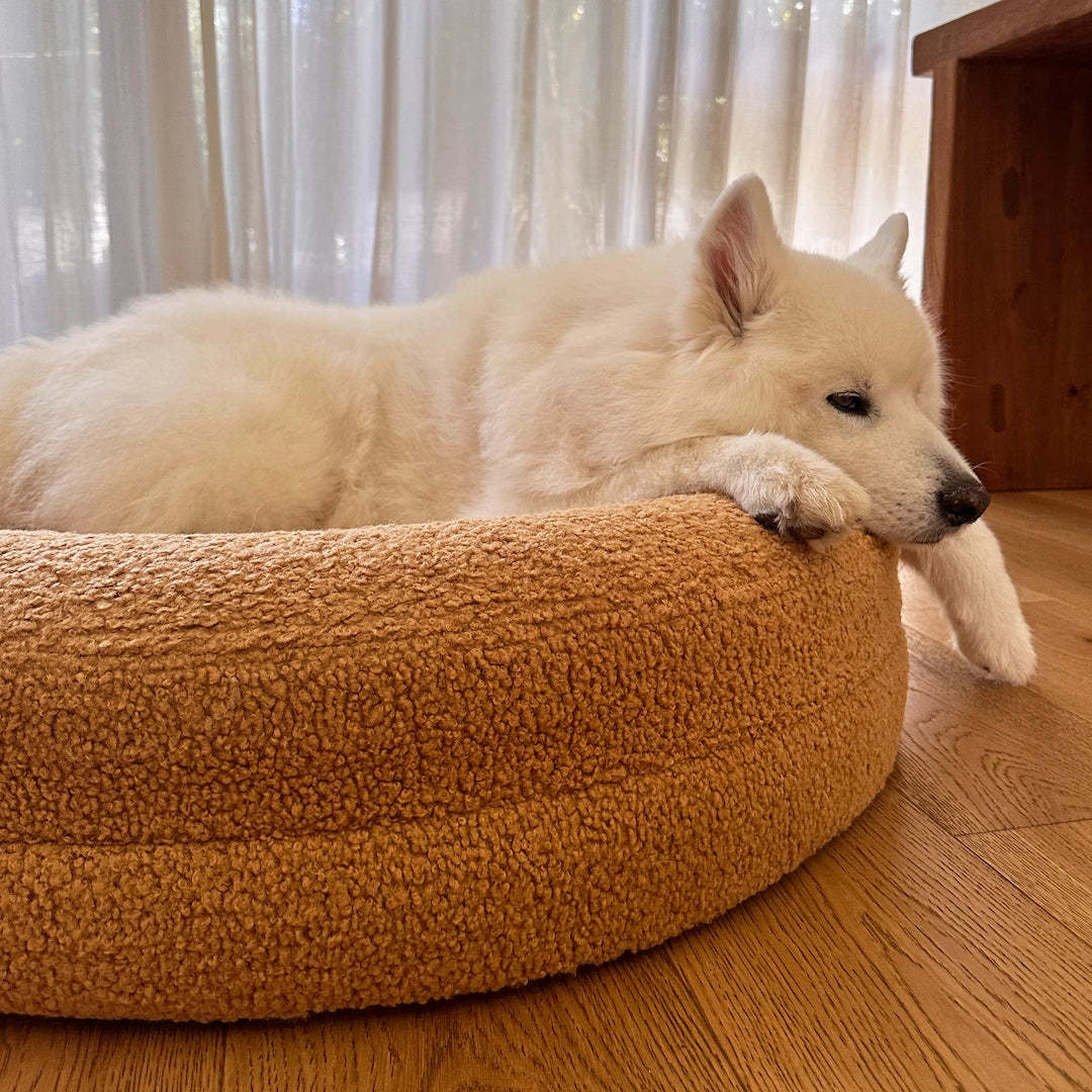 Dog bed orthopedic memory foam