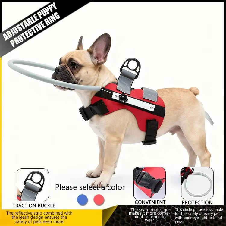 Blind dog harness