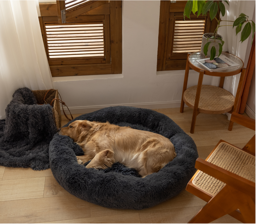 Donut dog bed