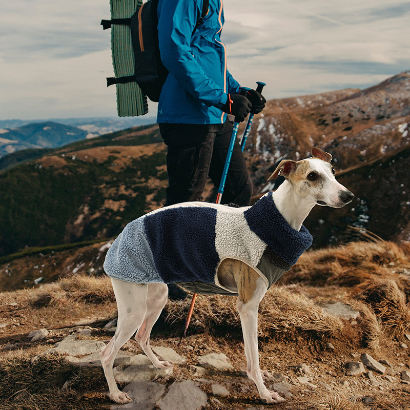 wholesale dog winter coat