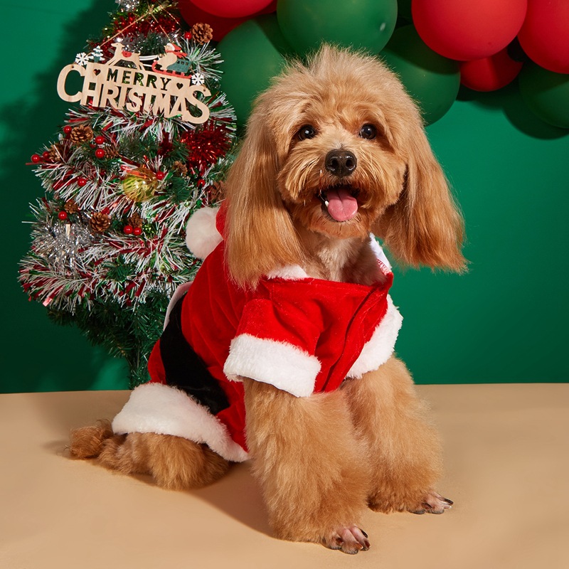 christmas pet clothes