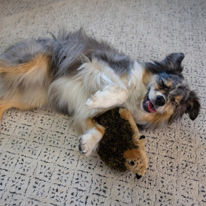 wholesale Hedgehog dog toy