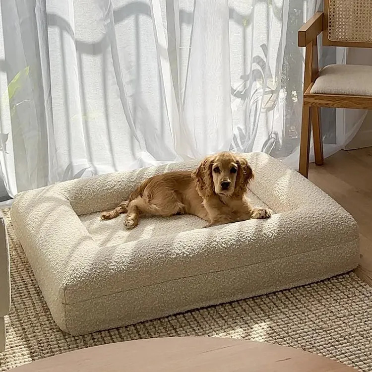 orthopedic dog beds