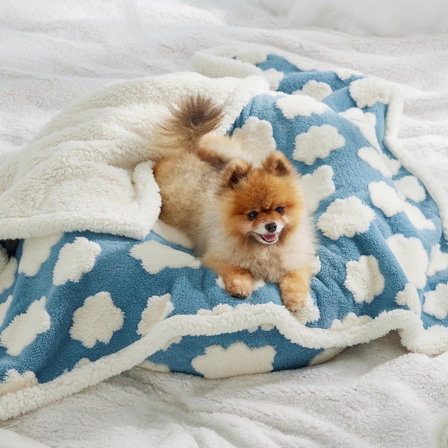 Dog Blanket Waterproof